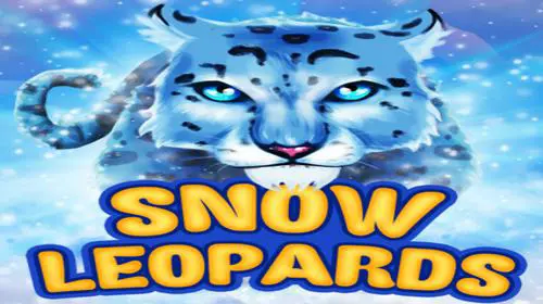 Snow Leopards - Spin City - Congo