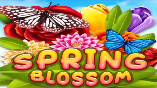 Spring Blossom - Spin City - Congo