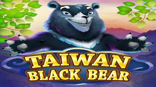 Taiwan Black Bear - Spin City - Congo
