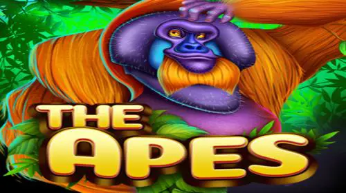 The Apes - Spin City - Congo