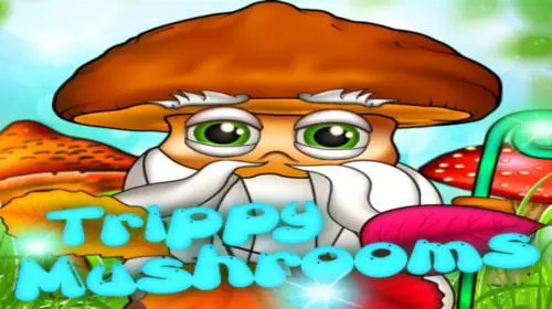 Trippy Mushrooms - Spin City - Congo