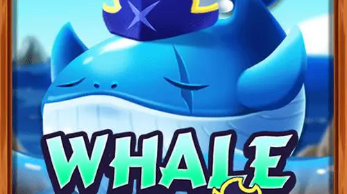 Whale Wild - Spin City - Congo