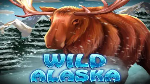 Wild Alaska - Spin City - Congo
