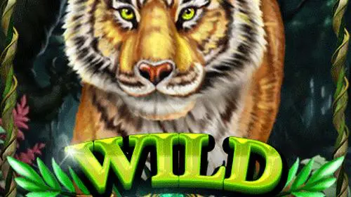Wild Jungle - Spin City - Congo