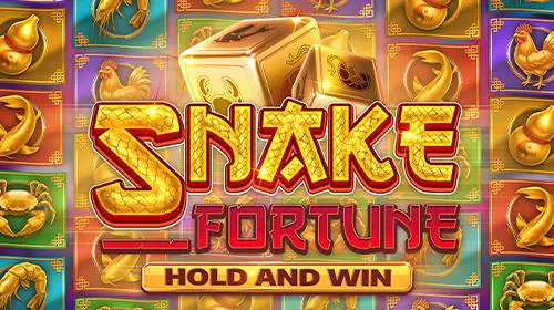 Snake Fortune Hold and Win - Spin City - Congo