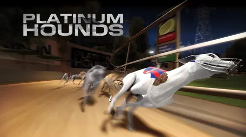 Dogs (Platinum Hounds) - Spin City - Congo