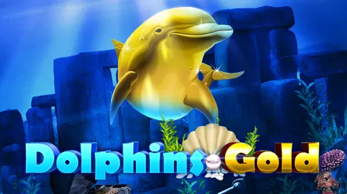 Dolphins Gold - Spin City - Congo
