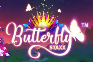 Butterfly Staxx - Spin City - Congo