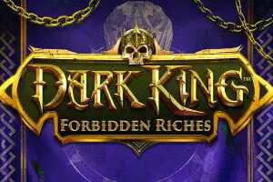 Dark King: Forbidden Riches - Spin City - Congo