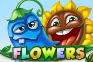Flowers - Spin City - Congo