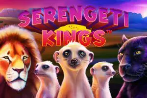 Serengeti Kings - Spin City - Congo