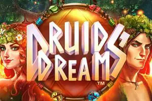 Druids Dream - Spin City - Congo