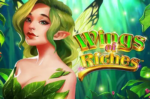 Wings of Riches - Spin City - Congo