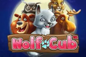Wolf Cub - Spin City - Congo