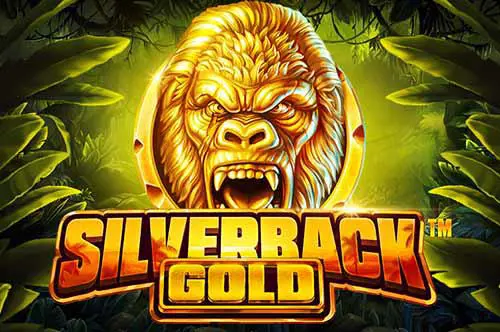 Silverback Gold - Spin City - Congo