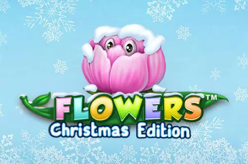 Flowers Christmas Edition - Spin City - Congo