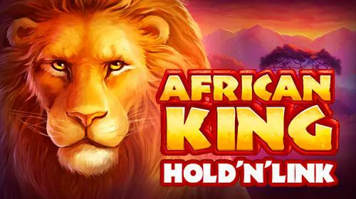 African King Hold'n'Link - Spin City - Congo