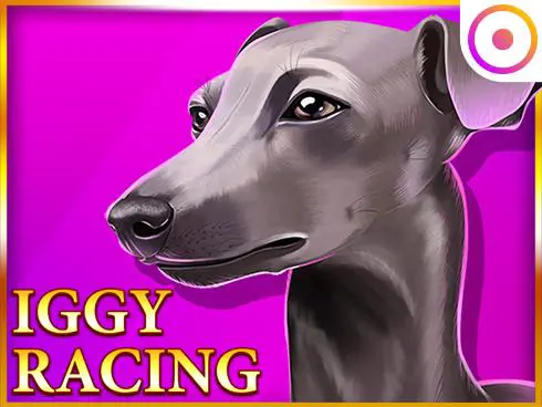 Iggy Racing - Spin City - Congo
