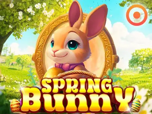 Spring Bunny - Spin City - Congo