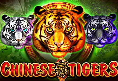 Chinese Tigers - Spin City - Congo