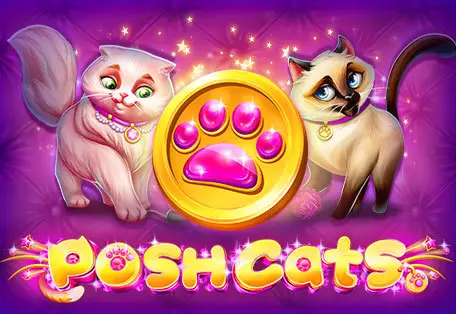 Posh Cats - Spin City - Congo