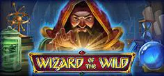 Wizard of the Wild - Spin City - Congo