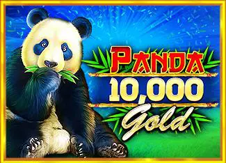 Panda Gold 10,000 - Spin City - Congo