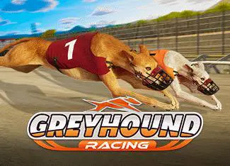 Greyhound Racing - Spin City - Congo