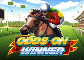 Odds On Winner - Spin City - Congo
