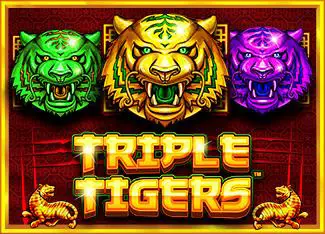 Triple Tigers - Spin City - Congo