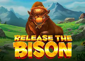 Release the Bison - Spin City - Congo