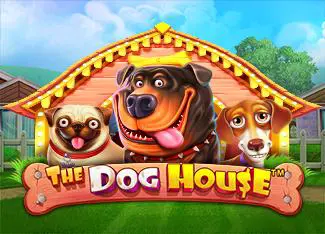 The Dog House - Spin City - Congo