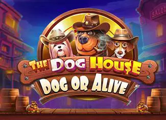The Dog House - Dog or Alive - Spin City - Congo