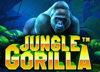 Jungle Gorilla - Spin City - Congo