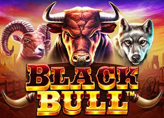 Black Bull - Spin City - Congo