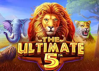 The Ultimate 5 - Spin City - Congo
