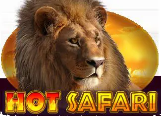 Hot Safari - Spin City - Congo