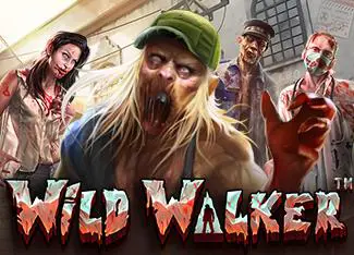 Wild Walker - Spin City - Congo