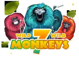7 Monkeys - Spin City - Congo