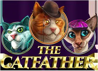 The Catfather - Spin City - Congo