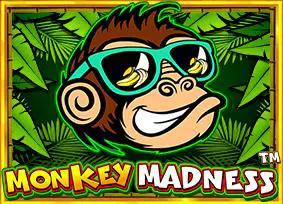 Monkey Madness - Spin City - Congo