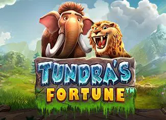 Tundra's Fortune - Spin City - Congo