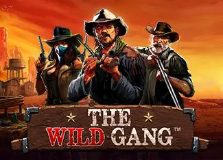 The Wild Gang - Spin City - Congo