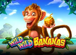 Wild Wild Bananas - Spin City - Congo