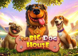 The Big Dog House - Spin City - Congo