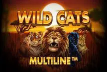 Wild Cats Multiline - Spin City - Congo