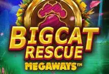 Big Cat Rescue Megaways - Spin City - Congo