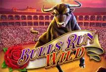 Bulls Run Wild - Spin City - Congo