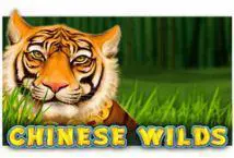 Chinese Wilds - Spin City - Congo