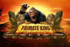 Primate King - Spin City - Congo